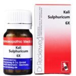 Dr Reckeweg Kali sulphuricum 6x 20 gm Pack of 2