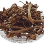 Divesh Store Akarkara 50 Grm/Anacylus/Pyrethrum/Pellitory Root/Akar Kara/ - Fast UK Delivery