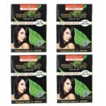 Panchvati Herbals Ayurvedic Mehandi with Herbal Henna ,200g (Pack of 4) 10g each - Black - Fast UK Delivery