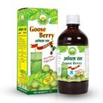 Basic Ayurveda Amla Juice GooseBerry 1L Rich Source of Vitamin C Ayurvedic juice - Fast UK Delivery