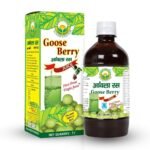 Basic Ayurveda Amla Juice GooseBerry 1L Rich Source of Vitamin C Ayurvedic juice - Fast UK Delivery