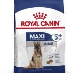 Royal Canin Maxi Mature, 4 kg - Fast UK Delivery
