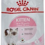 Royal Canin Pellet Kitten food 36, 0.4 kg - Fast UK Delivery