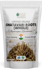 Bliss of Earth Shatavari Root Whole Organic Asparagus Racemosus 100% Natural & Non GMO Good for Immunity & Digestion 100gm - Fast UK Delivery