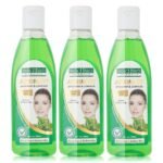 Panchvati Herbals Astringent with Mint & Camphor for A Clear & Radiant Skin, 100 ml, Pack of - 3