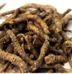 Divesh Store Kutki 100Grm - Picroriza Kurroa - Hellabore - Katukarogani Root - Kadu - Katuka - Fast UK Delivery
