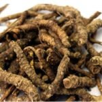 Divesh Store Kutki 50Grm - Picroriza Kurroa - Hellabore - Katukarogani Root - Kadu - Katuka - Fast UK Delivery