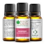 Bliss of Earth ROSEMARY Essential Oil Premium 100% Pure & Natural therapeutic Grade ideal for Aromatherapy 10ml - Fast UK Delivery