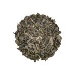 Dancing Leaf Tulsi Mint Tranquility | Green Tea, Tulsi leaves & Mint leaves | Green Tea Blend | Loose Leaf Pouch (50gms) - Fast Shipping to USA & Canada