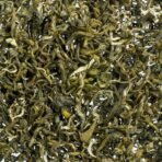 Dancing Leaf Yun Wu Mao Feng | Green Tea | Green Tea Blend | Loose Leaf Tin (50 GMS) - Fast Shipping to USA & Canada