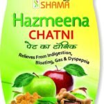 New Shama Hazmina Chatni 500 Gm - Fast UK Delivery
