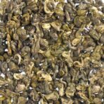 Dancing Leaf Green Snail Green Tea | Green Tea Blend | Loose Leaf Tin (50 GMS) - Fast Shipping to USA & Canada