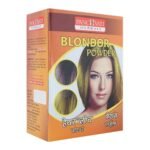 Panchvati Herbals Blonder Powder 10 gm each Pouch, Pack of - 12 - Fast UK Delivery