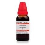 Dr. Willmar Schwabe India Anacardium Occidentale Q 30 ML (Pack of 2) - Fast UK Delivery
