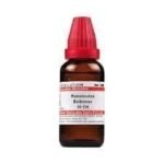 Dr. Willmar Schwabe India Ranunculus Bulbosus 30 CH, 30ML (Pack of 2) - Fast UK Delivery
