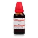 Dr. Willmar Schwabe India Boldo Q 30 ML - Fast UK Delivery
