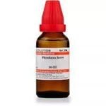 Dr. Willmar Schwabe India Phytolacca Berry 30CH, 30ML (Pack of 2) - Fast UK Delivery