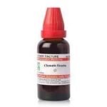 Dr. Willmar Schwabe India Clematis Erecta Q 30 ML - Fast UK Delivery