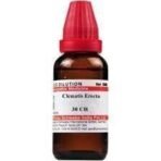 Dr. Willmar Schwabe India Clematis Erecta 30 CH 30ML (Pack of 2) - Fast UK Delivery