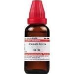 Dr. Willmar Schwabe India Clematis Erecta 30 CH 30ML (Pack of 2) - Fast UK Delivery