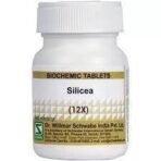 Dr. Willmar Schwabe India Silicea 12X-20GM (Pack of 2) - Fast UK Delivery