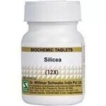 Dr. Willmar Schwabe India Silicea 12X-20GM (Pack of 2) - Fast UK Delivery