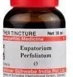 Dr. Willmar Schwabe India Eupatorium Perfoliatum Q 30ML - Fast UK Delivery