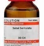 Dr. Willmar Schwabe India Sabal Serrulata 30 CH, 30ML (Pack of 2) - Fast UK Delivery
