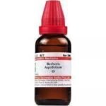 Dr. Willmar Schwabe India Pvt. Ltd. Berberis Aquifolium Q 30 Ml, Liquid - Fast UK Delivery