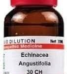 Dr. Willmar Schwabe India Echinacea Angustifolia 30 CH, 30ML (Pack of 2) - Fast UK Delivery
