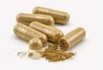 BourNeel's Soursop Capsules - 60 Capsules | Dietary Health Supplement | No Preservatives | No Additives Soursop Graviola Laxman Phal | - Image 4