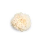 Mystique Hills Snow Fungus Extract (50 g) - Image 7