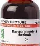 Dr. Willmar Schwabe India Bacopa Monnieri (Brahmi) Q (Pack of 1) - Fast UK Delivery