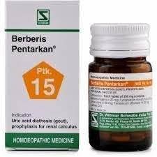 uk31T8grngpBL.jpg Dr. Willmar Schwabe India Berberis Pentarkan Tab (Ptk15) 20 gms (Pack of 2) - Fast UK Delivery - Image 1