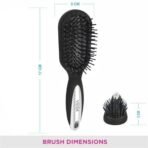 Vega Mini Cushioned Hair Brush (India's No.1* Hair Brush Brand) For Men & Women, All Hair Types (R7-CB) - Fast UK Delivery - Image 4