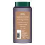 Biotique Walnut Volume and Bounce Shampoo and Conditioner | For Fine and Thinning Hair| Volumizing Shampoo for Thin Hair |100% Botanical Extracts |340ml - Fast UK Delivery - Image 3