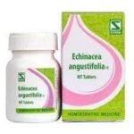 Dr. Willmar Schwabe India Echinacea Angustifolia 1X 20 Gm - Fast UK Delivery