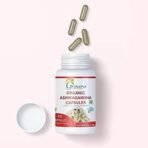 Grenera Ashwagandha Capsules - 90 Vegetarian Capsules - 500 mg per Capsule - Fast UK Delivery - Image 7