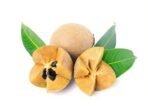BourNeel's Chikoo Fruit Spread 375gm Pack of 1 - Image 3