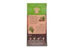 Organic India Tulsi Masala Chai, 25 Infusion Bags (Pack of 2) - Fast UK Delivery - Image 3