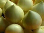 R R AGRO FOODS Single Clove Garlic 500 Gm (Single Piece Garlic/Fresh Garlic/One Kuli Lehsun/Ek Pothi Lahsun/Garlic) Pack Of 1 - Fast UK Delivery - Image 4