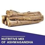 Kamdhenu Laboratories Ashwagandha (Withania somnifera) Powder 100 Gram - Image 6