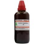 Dr. Willmar Schwabe India Berberis Aquifolium "Q" - 100ML || Mother Tincture || Schwabe Homeopathy - Fast UK Delivery