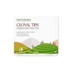 Gopaldhara Darjeeling Tea Clonal Tips High Mountain Darjeeling Black Tea 250 grams Paper Box - (Regular Series) FTGFOP1 Black Tea from High Mountain Elevation 7000 Feet - Fast UK Delivery - Image 2