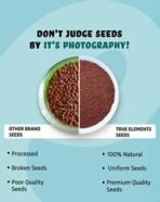 True Elements Halim Seeds 250g - Aliv Seeds | High in Fibre and Omega 3 Seeds | Garden Cress Seeds | Haleem Seeds | Seeds for Eating | Immunity Booster Superfood - Fast UK Delivery - Image 6