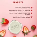 Jovees Herbal Strawberry Moisture Surge Lip Balm | 24 Hour Hydration | Rejuvenates Dry and Chapped Lips | Gives Soft & Shiny Lips 8g - Fast UK Delivery - Image 6