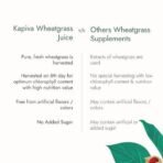 Kapiva Wheatgrass Juice 1 L & Kapiva Wild Amla Juice 1L & Kapiva Thar Aloe Vera Juice (with Pulp) (1L) - Fast UK Delivery - Image 5