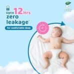 Dabur Baby Super Pants - XL (72 Pieces) | 12-18 kg | Insta-Absorb Technology | Diapers Infused with Aloe Vera, Shea Butter & Vitamin E | No Added Parabens, Added Fragrances (Pack of 3) - Fast UK Delivery - Image 7