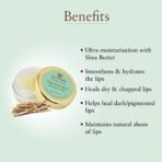 Just Herbs Liquorice Shea Lip Butter Balm, 8g Transparent - Fast UK Delivery - Image 4