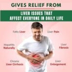 Healthally Ayurvedic Biolive Fatty Liver Detox Syrup|Alcoholic Liver Cleaner Tonic,Liver Heath Supplement Medicine|Kutki Kalmegh Punarnava Giloy Syrup for Liver Care & Digestive System - 1 Ltr - Fast UK Delivery - Image 3